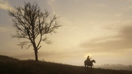 Red Dead Redemption & Red Dead Redemption 2 Bundle — screenshot 8