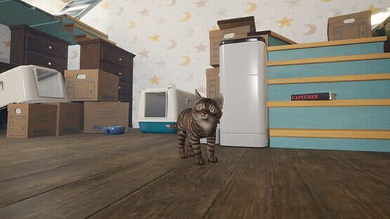 Kitten Tales — screenshot 1