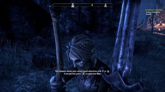 The Elder Scrolls Online: Premium Edition — screenshot 1