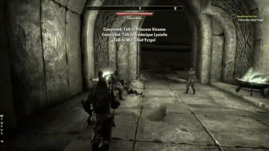 The Elder Scrolls Online: Premium Edition — screenshot 2
