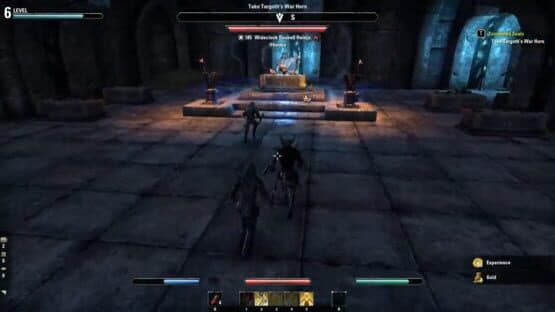 The Elder Scrolls Online: Premium Edition — screenshot 3