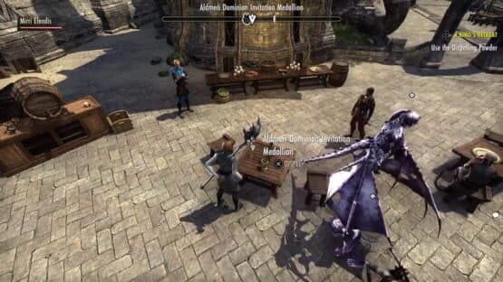 The Elder Scrolls Online: Ascending Tide — screenshot 3