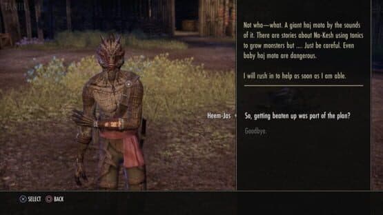 The Elder Scrolls Online: Shadows of the Hist — screenshot 2
