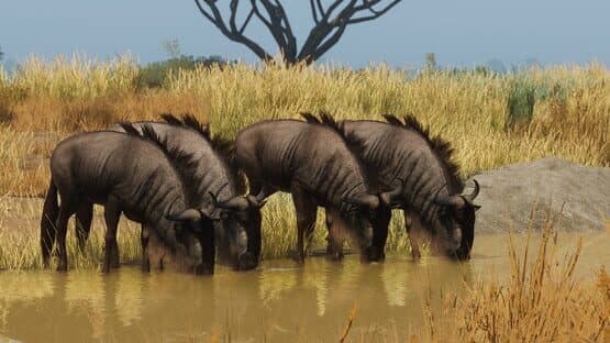 Planet Zoo: Grasslands Animal Pack — screenshot 2