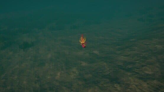 Ultimate Fishing Simulator: Florida — screenshot 3