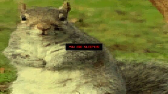 Squirrel Stapler — screenshot 2