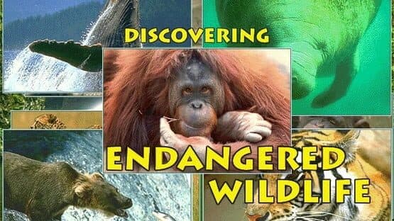 Discovering Endangered Wildlife — screenshot 2
