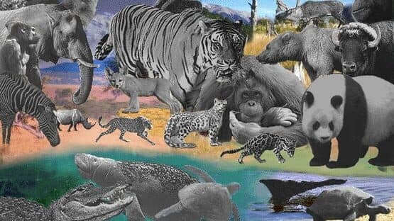 Discovering Endangered Wildlife — screenshot 6