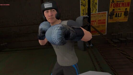 True Boxing VR — screenshot 1