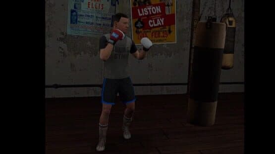 True Boxing VR — screenshot 4