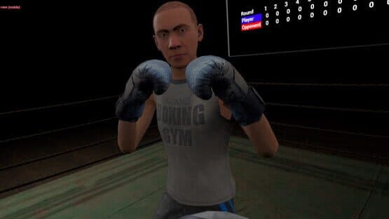 True Boxing VR — screenshot 8