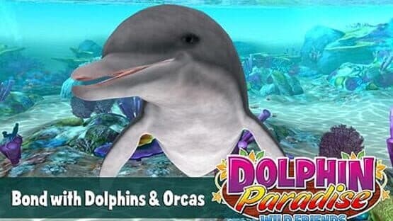 Dolphin Paradise: Wild Friends — screenshot 2