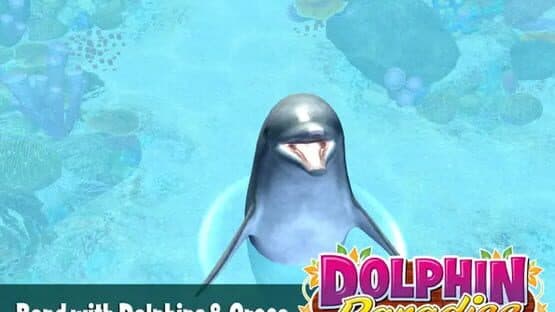 Dolphin Paradise: Wild Friends — screenshot 4