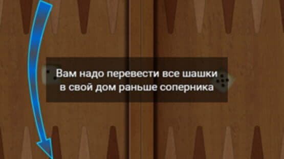 Long Nardy — screenshot 1