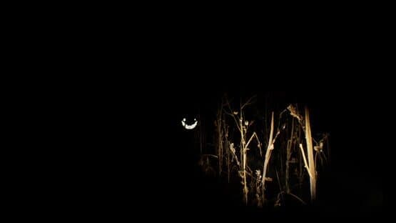 Adrift in the Backrooms — screenshot 3