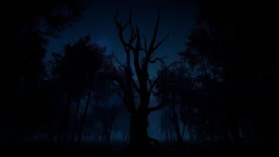 Slender: The Arrival — screenshot 3