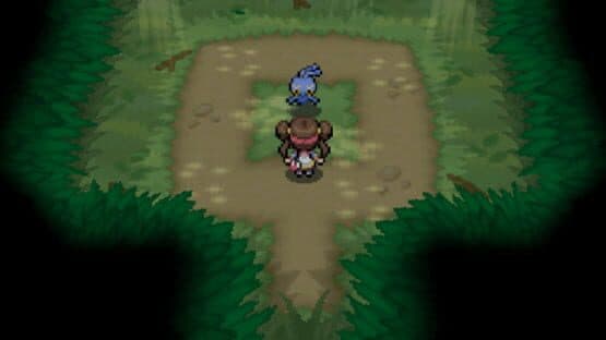 Pokemon Black 2: DE — screenshot 8