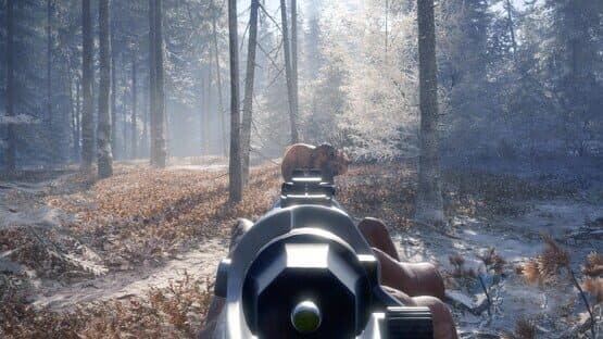 TheHunter: Call of the Wild - Hunter Power Pack — screenshot 2