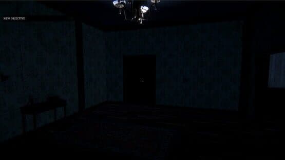 Echos in the Dark — screenshot 1