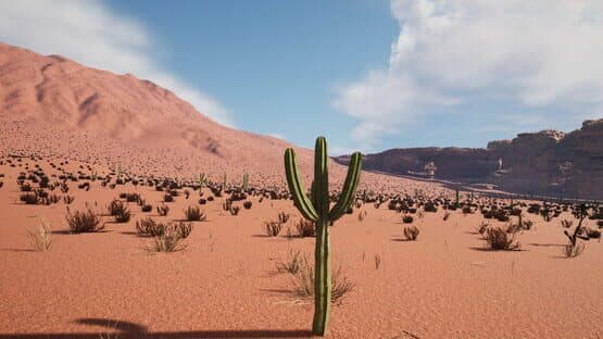 Cactus Simulator 2 — screenshot 2