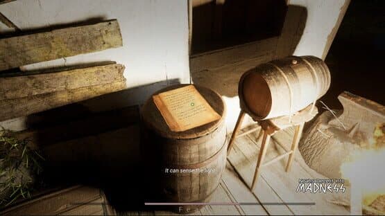 Noah's Descent into Madness — screenshot 3