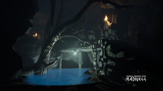Noah's Descent into Madness — screenshot 5