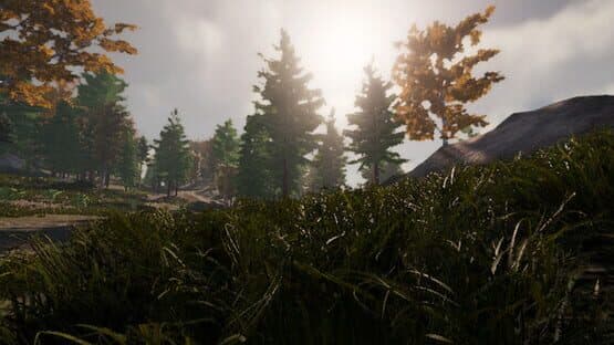 Wild Hunting — screenshot 3