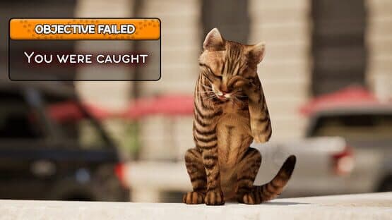 Cat Life Simulator — screenshot 2