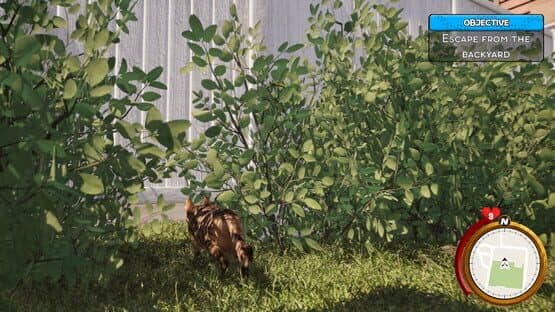 Cat Life Simulator — screenshot 7