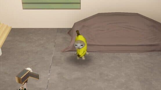 WoofChat — screenshot 5