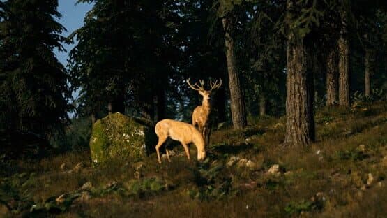 Flex Disc Golf — screenshot 2