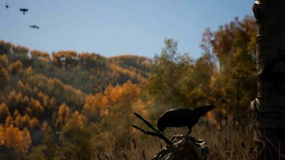 Flex Disc Golf — screenshot 4
