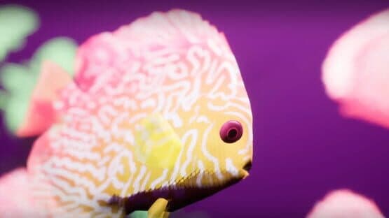 Fish Game — screenshot 3