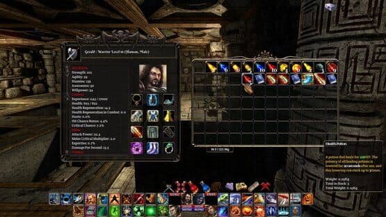 The Fall of the Dungeon Guardians: Enhanced Edition — screenshot 7