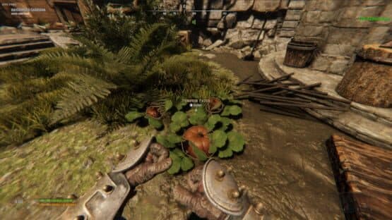 Lost Isle — screenshot 5