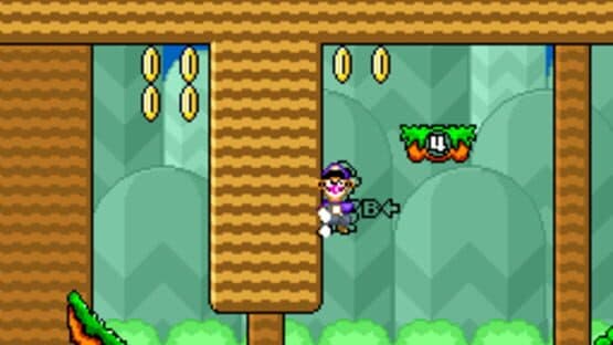 Waluigi's Wadventure — screenshot 2