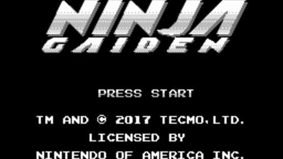 Ninja Gaiden: Dragon Scroll — screenshot 1