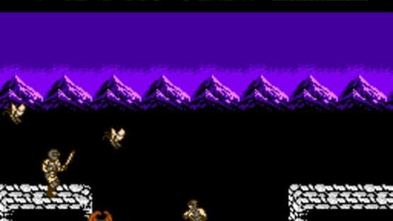 Ninja Gaiden: Dragon Scroll — screenshot 2