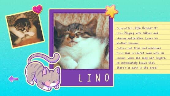 Sticker Kittens — screenshot 4