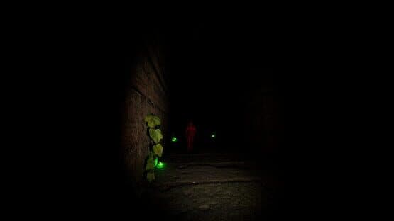 The Ruins — screenshot 4