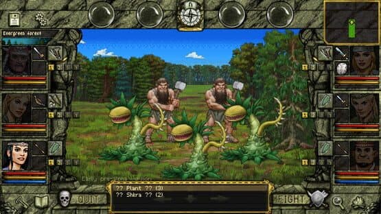 Mystic Land: The search for Maphaldo — screenshot 5