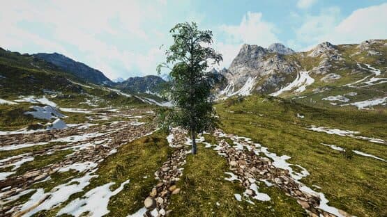 Birch Simulator — screenshot 1