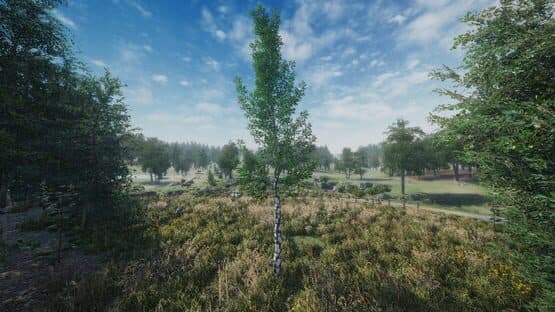 Birch Simulator — screenshot 3