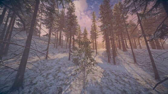 Birch Simulator — screenshot 5