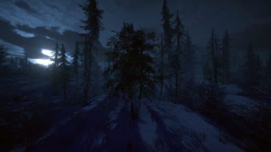 Birch Simulator — screenshot 7