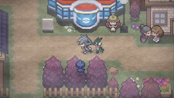 Pokémon Unbreakable Ties — screenshot 7