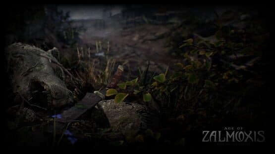 Age of Zalmoxis: Rise of the Fallen — screenshot 1