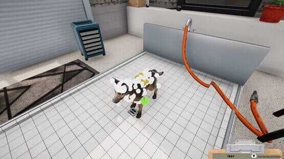 Water & Domestic Animals Bundle — screenshot 4