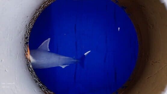 Submersible — screenshot 3