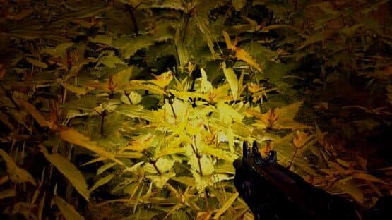 Strange Adventures — screenshot 2